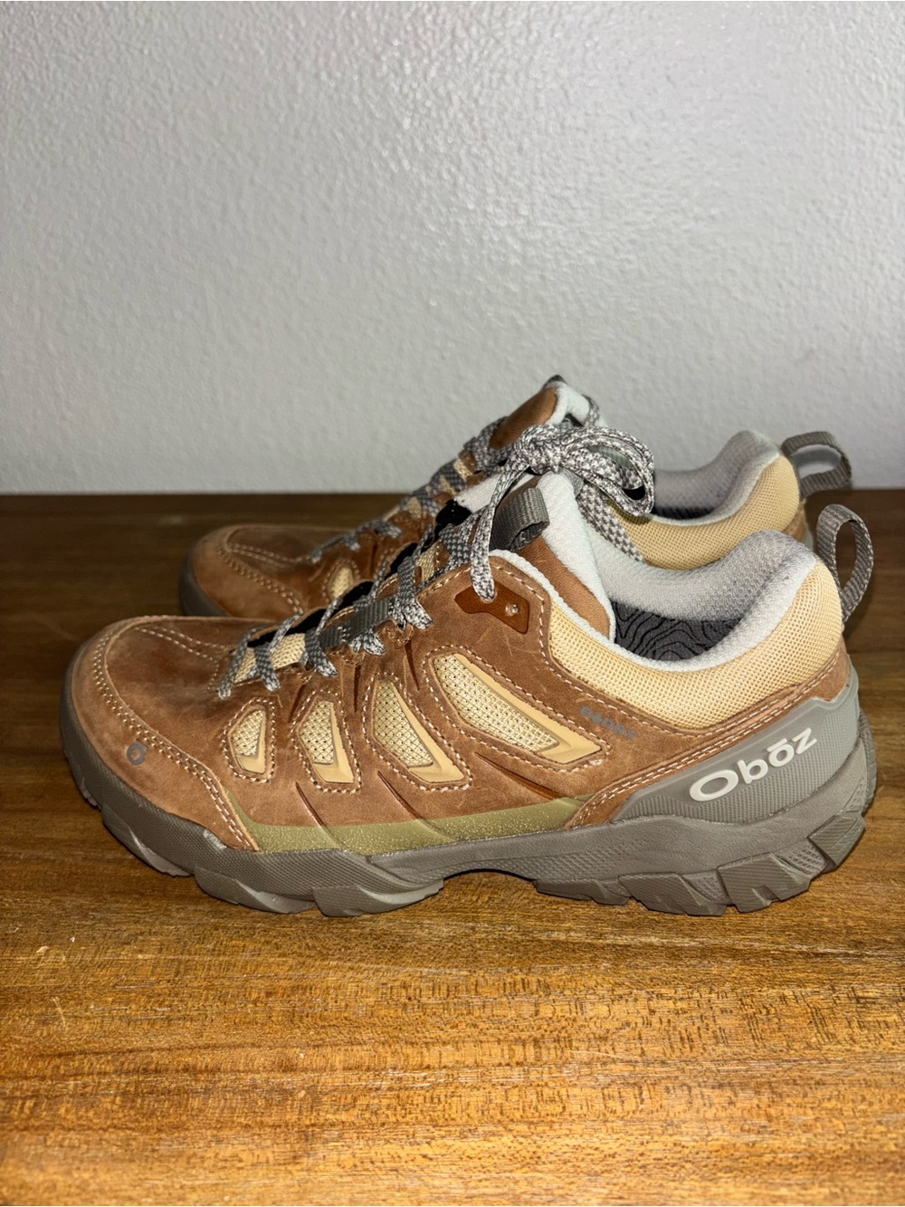 Oboz Women's Sawtooth X Low Acorn Hiking Shoes